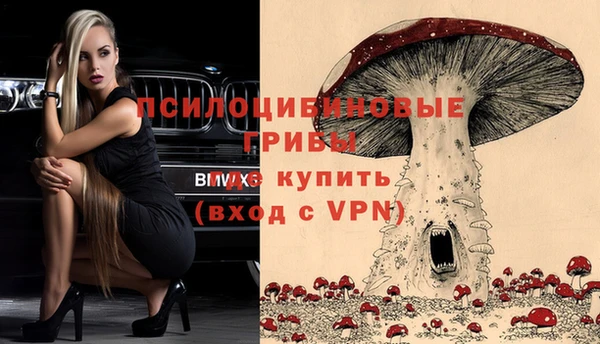 бошки Туринск