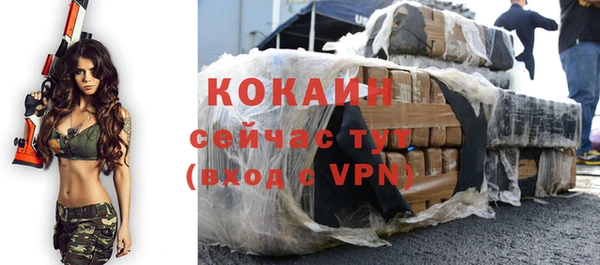 индика Тутаев