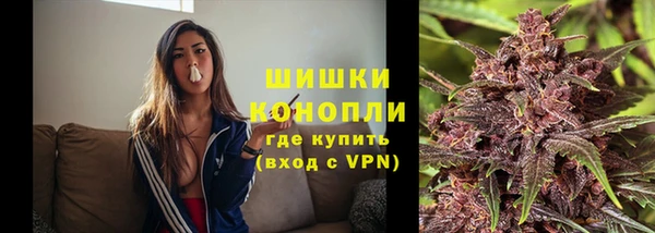 индика Тутаев