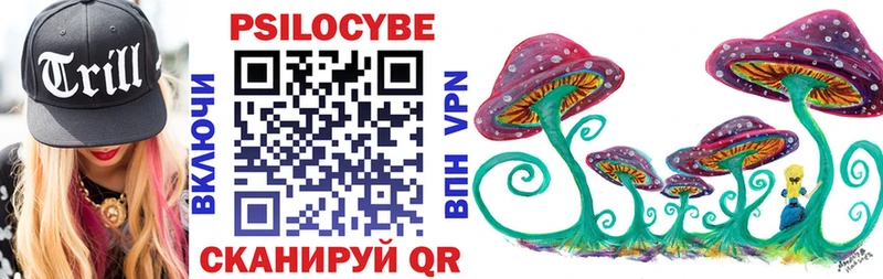 Псилоцибиновые грибы Psilocybine cubensis Будённовск